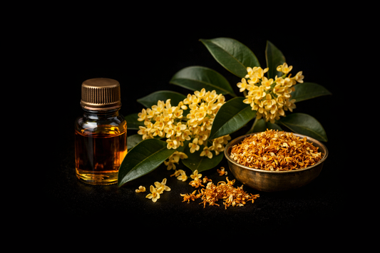 Osmanthus