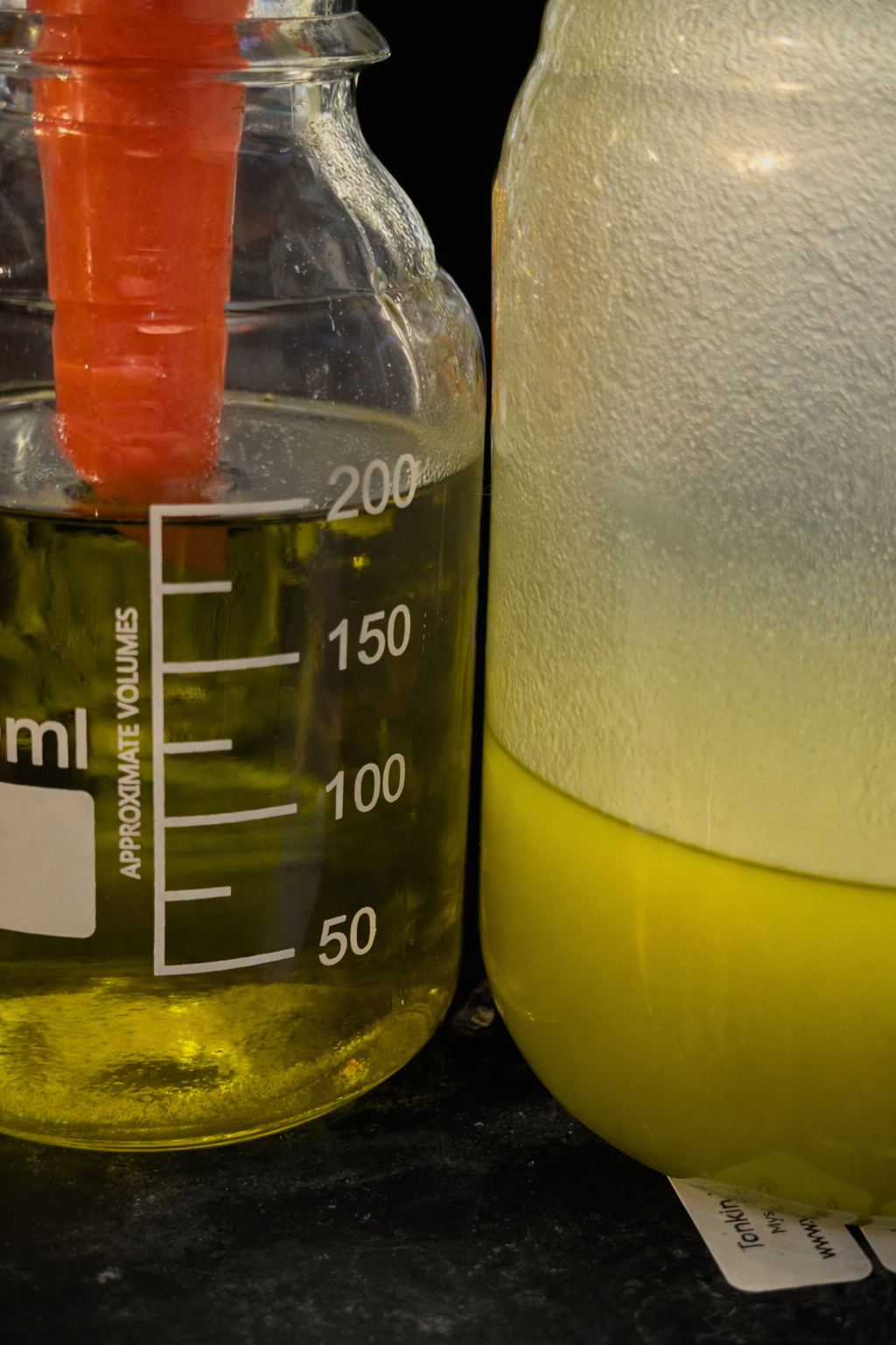 Pingyin Chinese Rose Oil – Rosa Rugosa