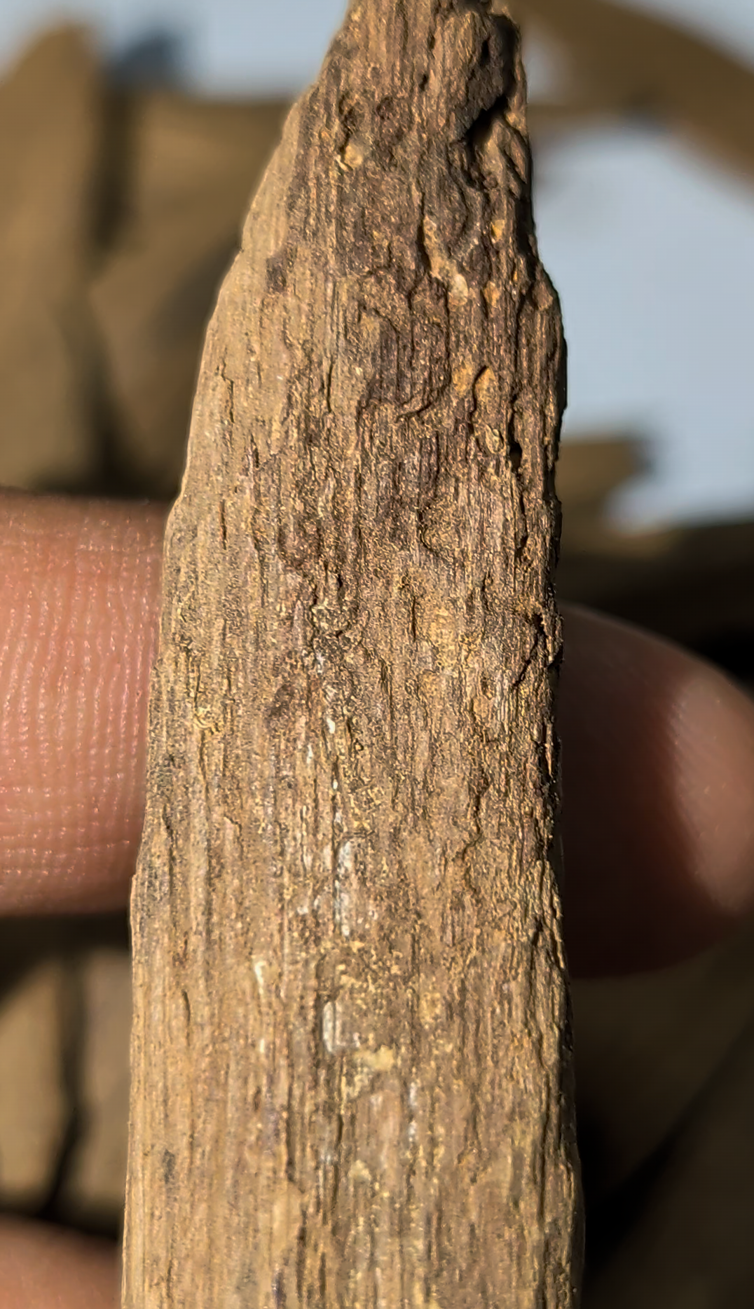 Vintage Cambodi Soil