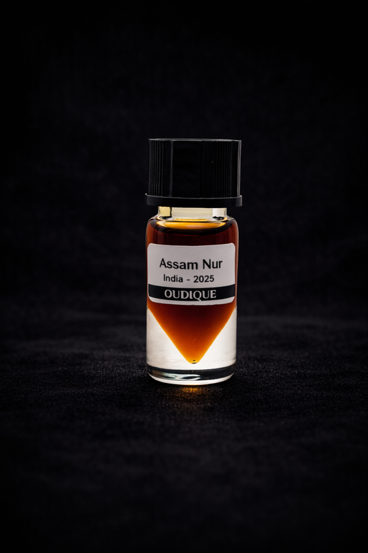 Assam Nur